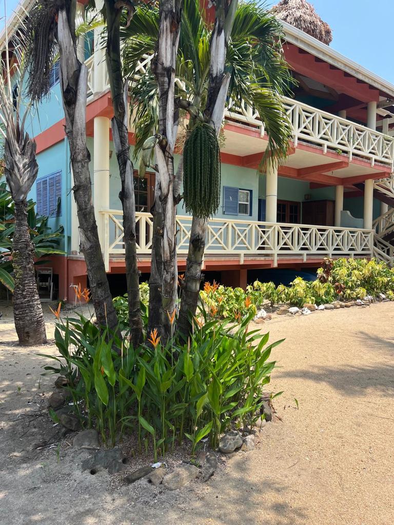 listing image with ID 60212