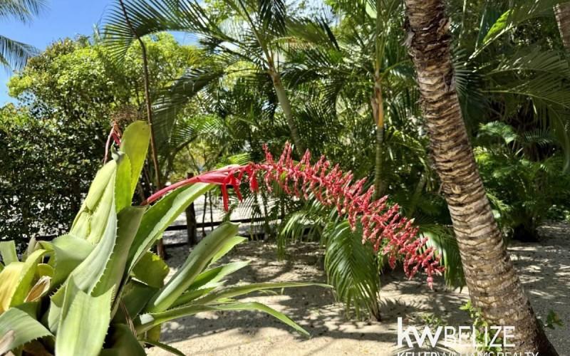 listing image with ID 60416