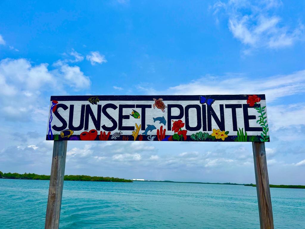 listing image with ID 60229