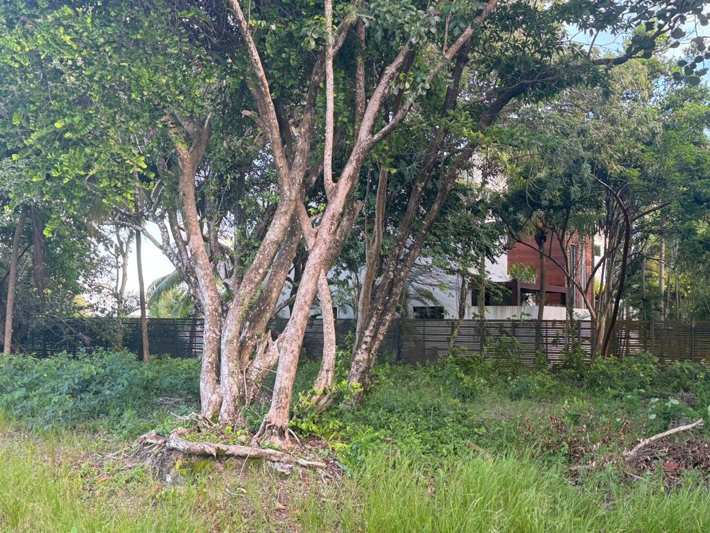 listing image with ID 59700
