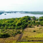 listing image thumbnail with ID 60360