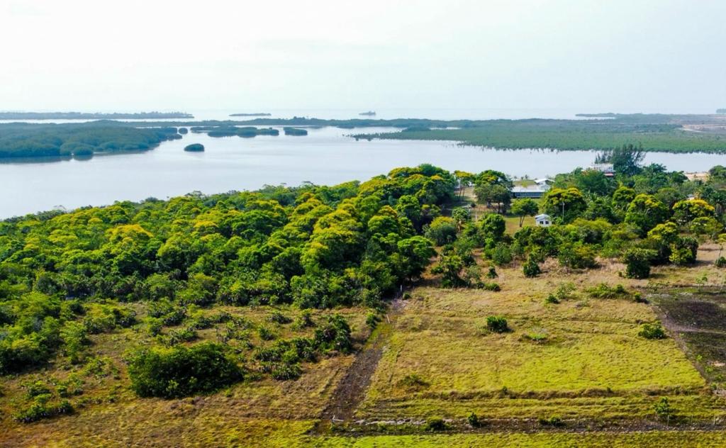 listing image with ID 60360