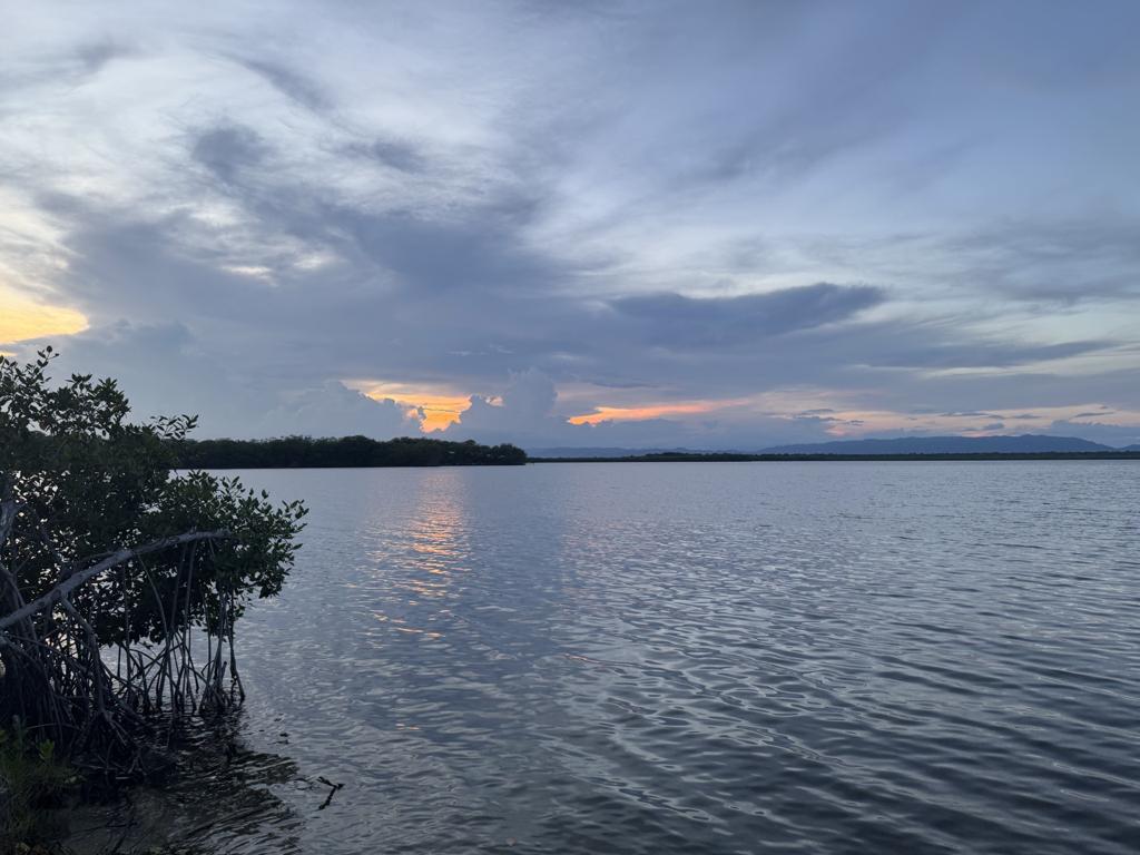 listing image with ID 60200