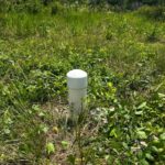 listing image thumbnail with ID 59554