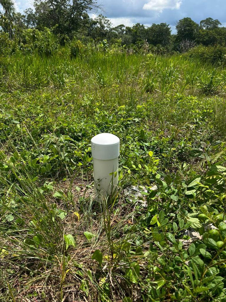 listing image with ID 59554