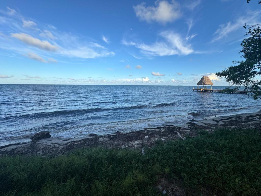 listing image with ID 59698