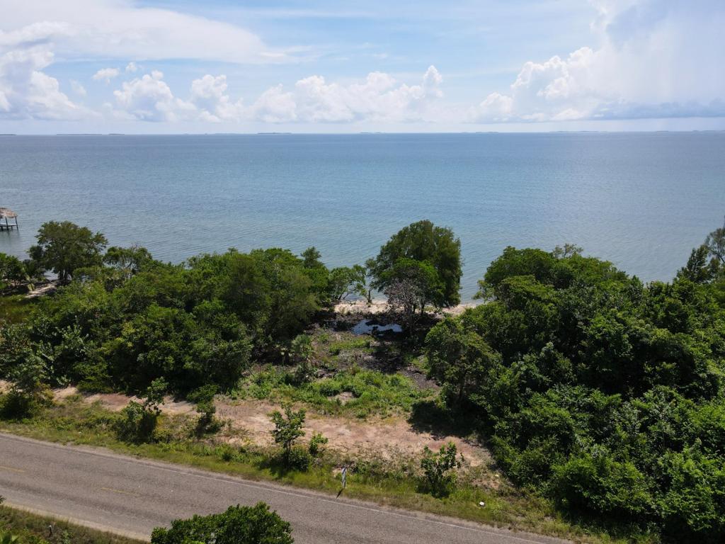 listing image with ID 60351