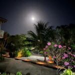 listing image thumbnail with ID 60234