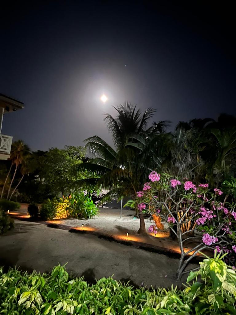 listing image with ID 60234