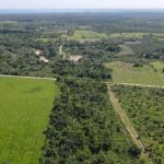 listing image thumbnail with ID 60063