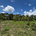 listing image thumbnail with ID 59552