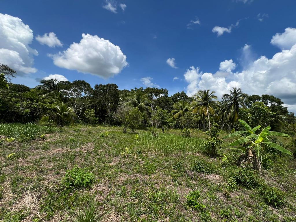 listing image with ID 59552