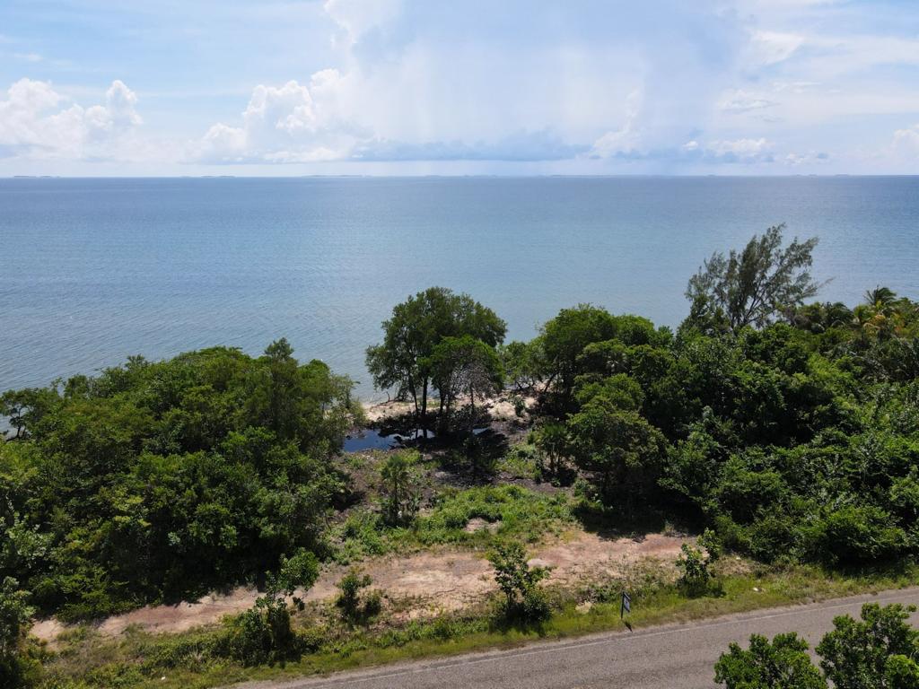 listing image with ID 60349