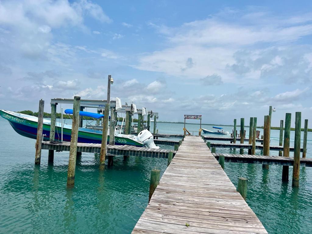 listing image with ID 60231