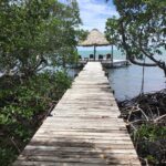 listing image thumbnail with ID 60118