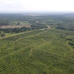 listing image thumbnail with ID 60579