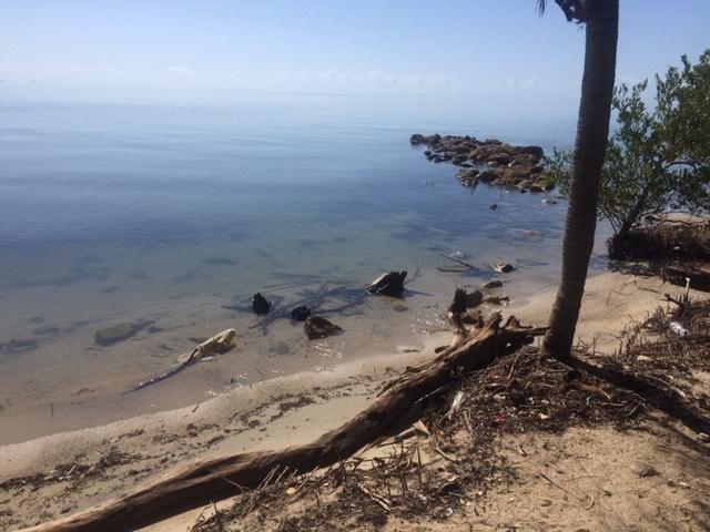 listing image with ID 61628