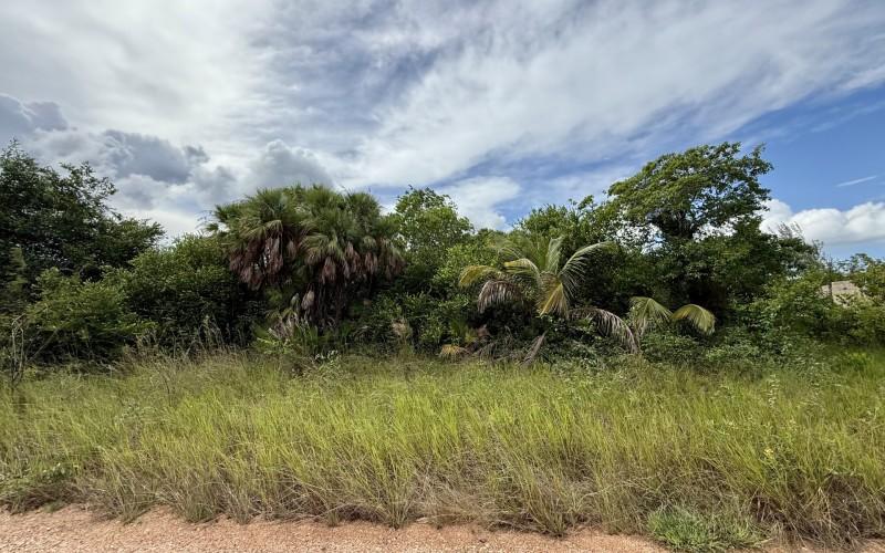 listing image with ID 60593