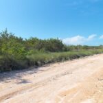 listing image thumbnail with ID 62023