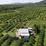 listing image thumbnail with ID 60571