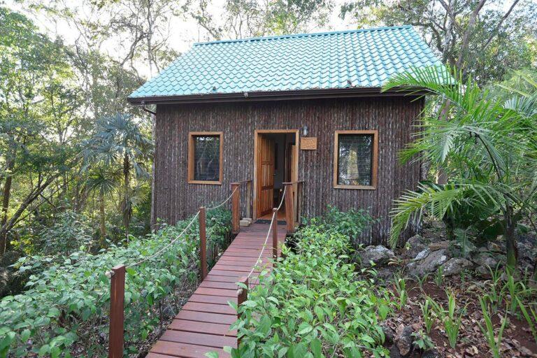 listing image with ID 61008