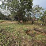 listing image thumbnail with ID 61187