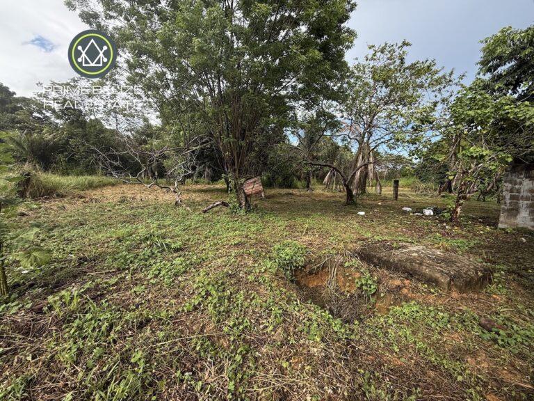 listing image with ID 61187