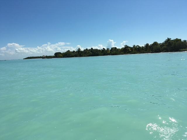 listing image with ID 60959