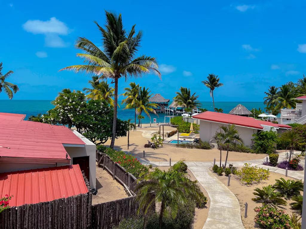 listing image with ID 61545