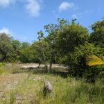 listing image thumbnail with ID 61784