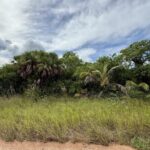 listing image thumbnail with ID 60529