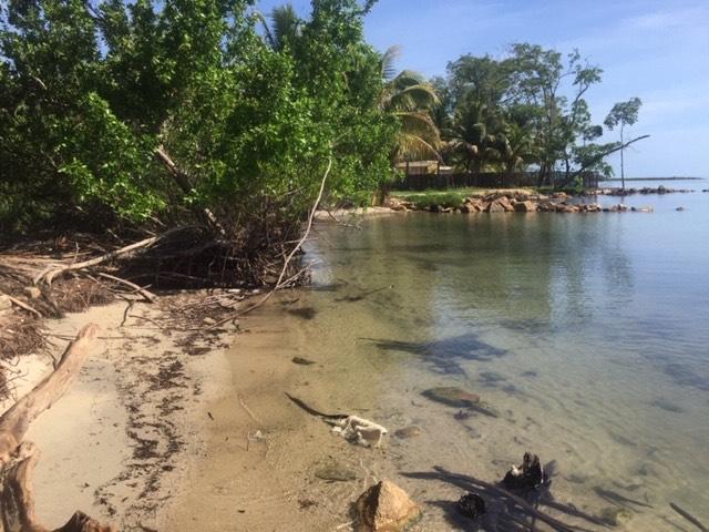 listing image with ID 61624