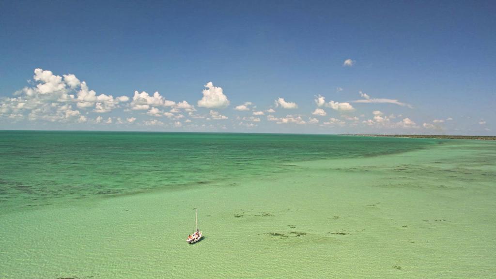 listing image with ID 60957