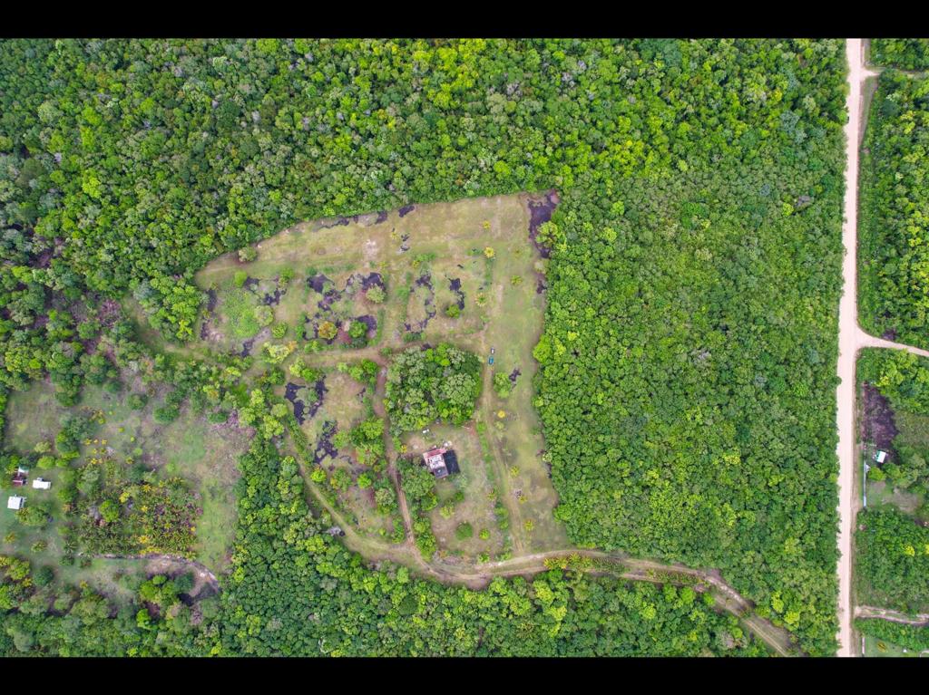 listing image with ID 61884