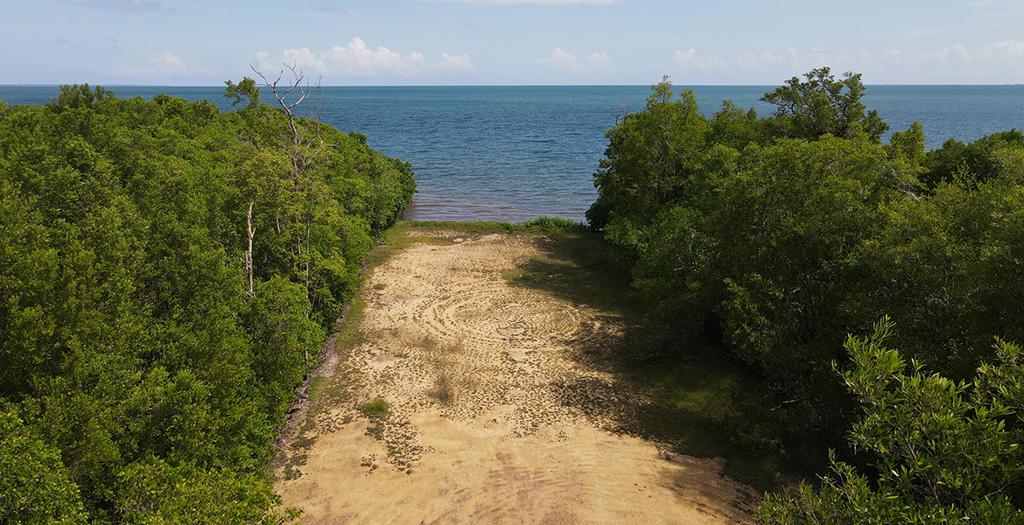 listing image with ID 60540