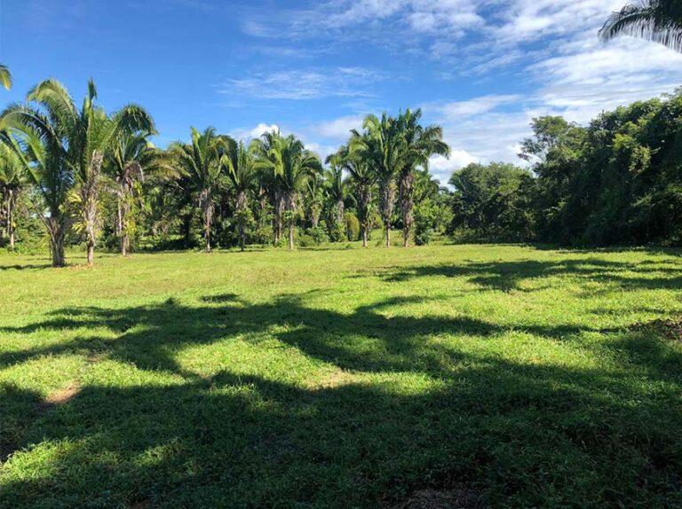 listing image with ID 60884