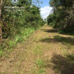 listing image thumbnail with ID 61411