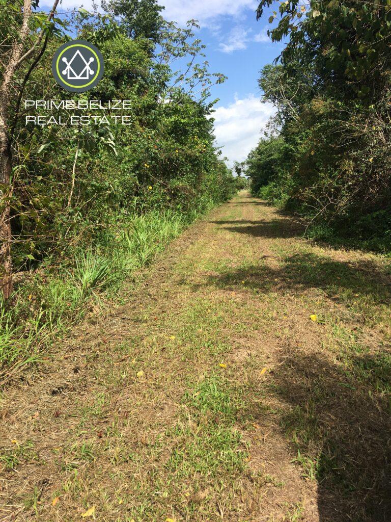 listing image with ID 61411