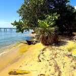 listing image thumbnail with ID 60465