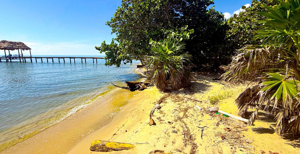 listing image with ID 60465