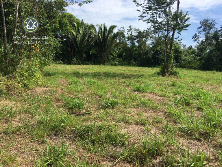 listing image with ID 61387