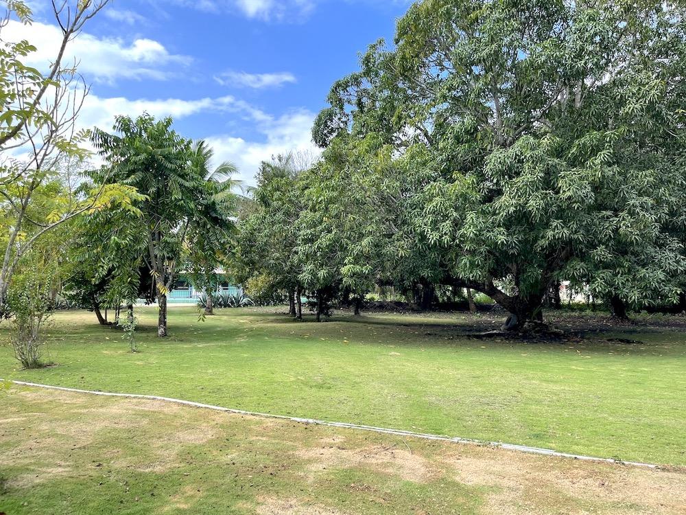 listing image with ID 61522