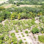 listing image thumbnail with ID 61507