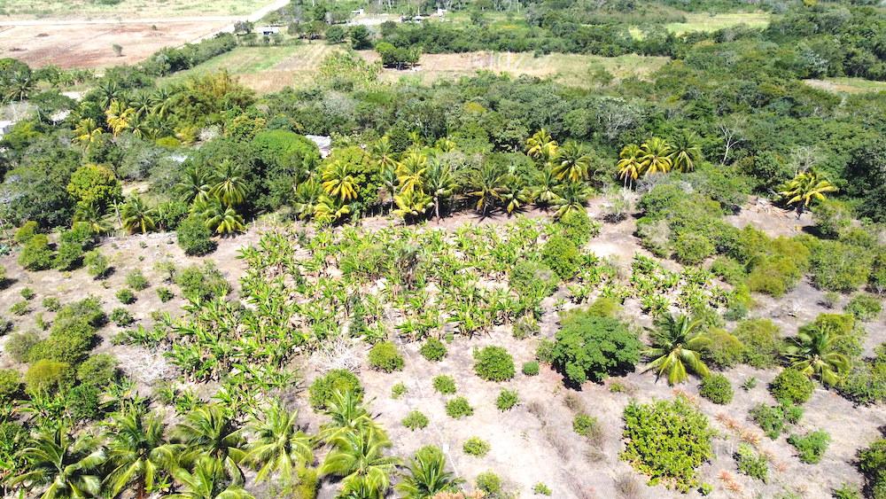 listing image with ID 61507