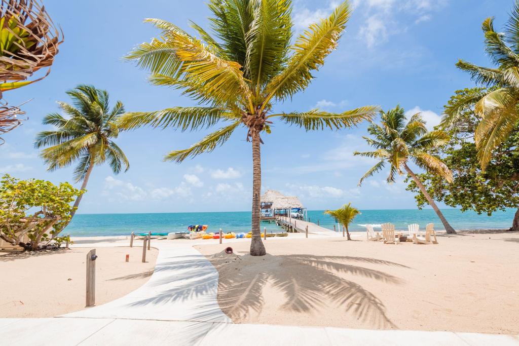 listing image with ID 61547