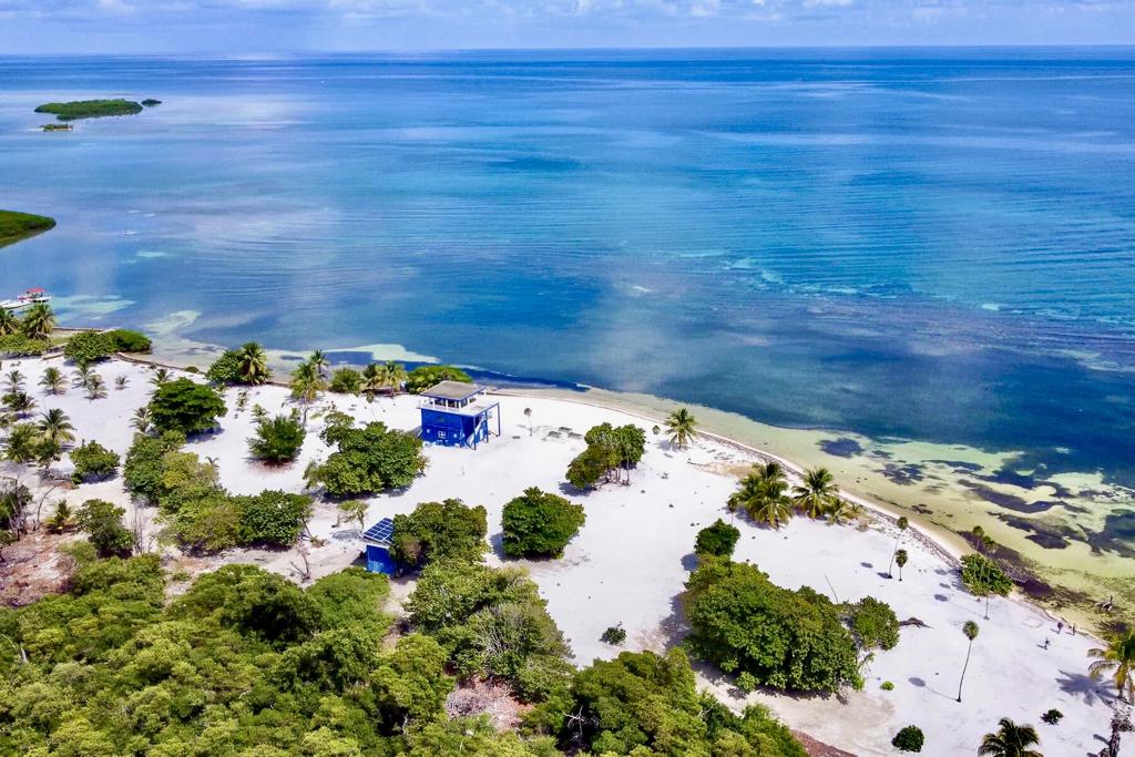 listing image with ID 60714