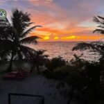 listing image thumbnail with ID 61881