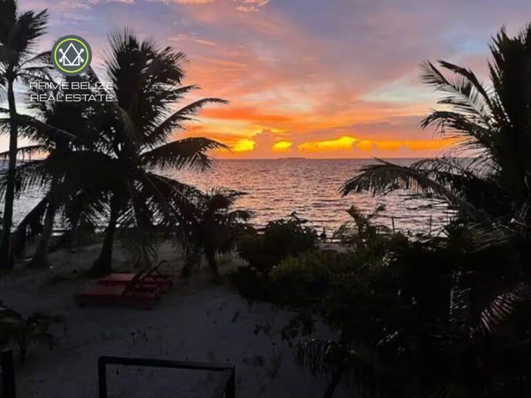 listing image with ID 61881