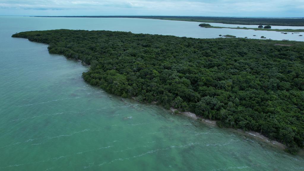 listing image with ID 60952