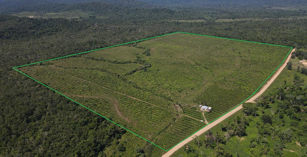 listing image with ID 60567